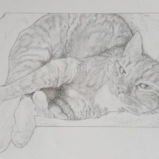 katten-kunst-cadeautjes-portretfoto-tekening-huisdier