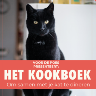 kat-cadeau-boek-kookboek