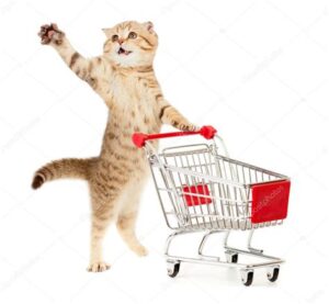 Webshop kattenproducten kattenboek kattenvoermachine PAS OP JOUW KAT