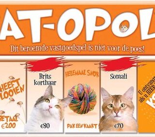 Verplaatsing Zo veel Luxe Kattenspelletjes - IK PAS OP JOUW KATIK PAS OP JOUW KAT