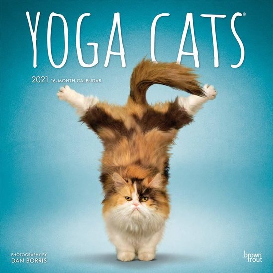 yoga-cats-kalender-2021