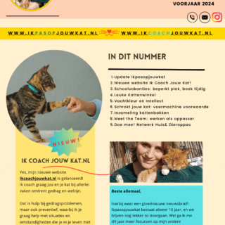 kattenoppas-Amsterdam-catsitter-petsitter-kattengedragstherapeut-catcoach